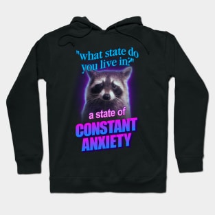 What state do you live in? a state of constant anxiety raccoon word art Hoodie